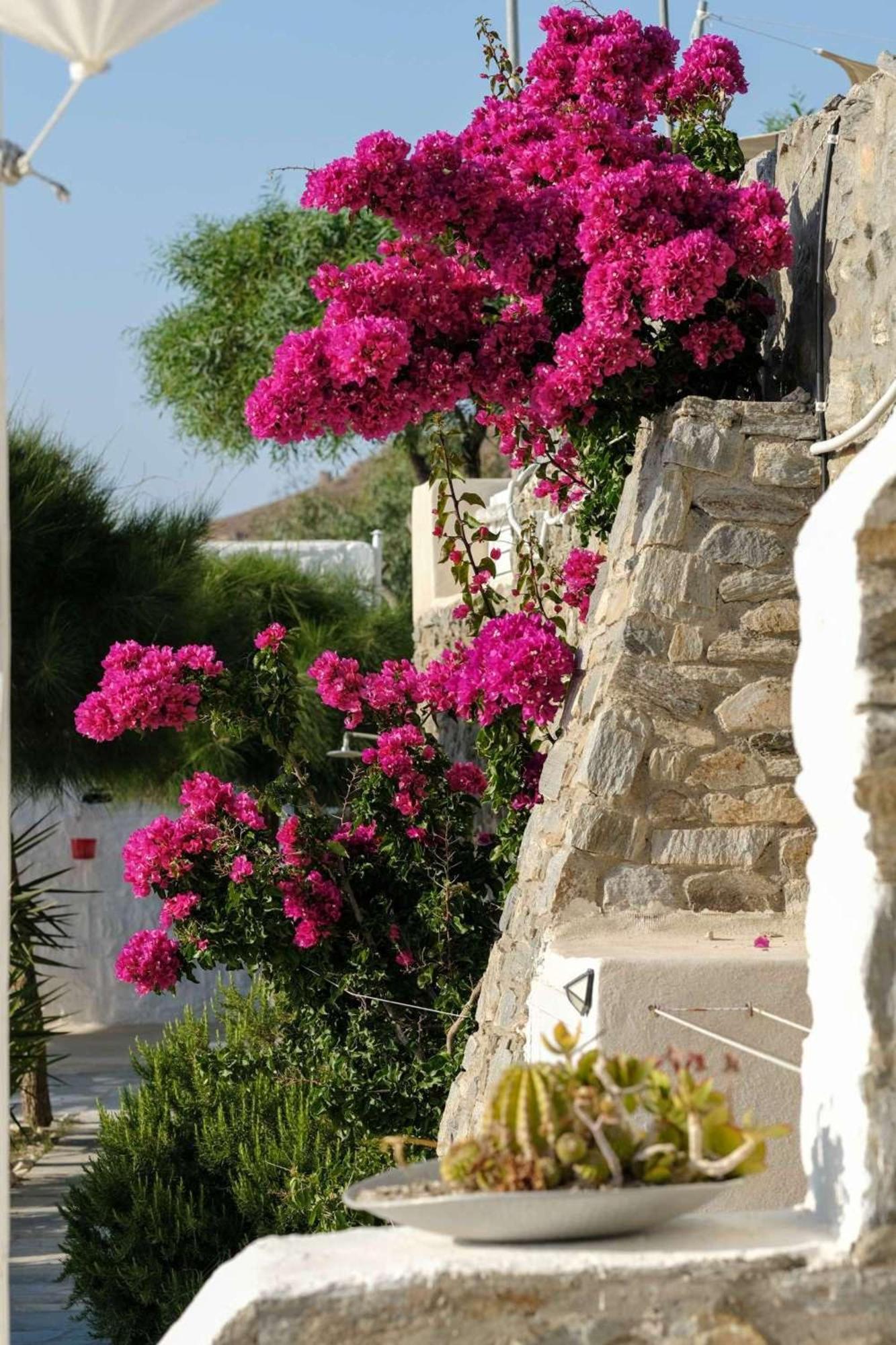 3 Season Holiday home